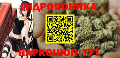 прущие крисы Кулебаки