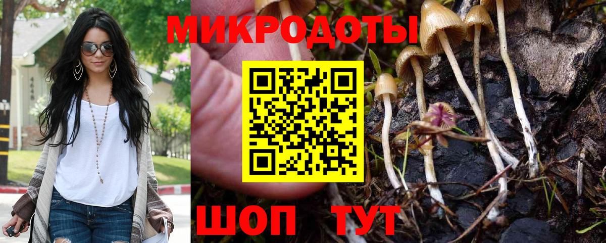 Галлюциногенные грибы Magic Shrooms Каменка