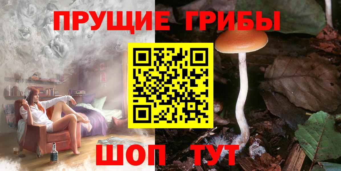 хочу   Псилоцибиновые грибы MAGIC MUSHROOMS  Вход с VPN  Каменка 